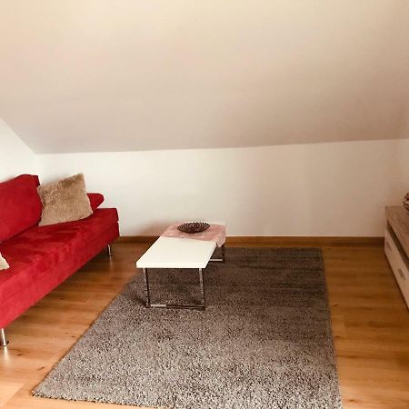 Grosses 1-Zimmer Wohlfuhl-Appartement Rednitzhembach Esterno foto